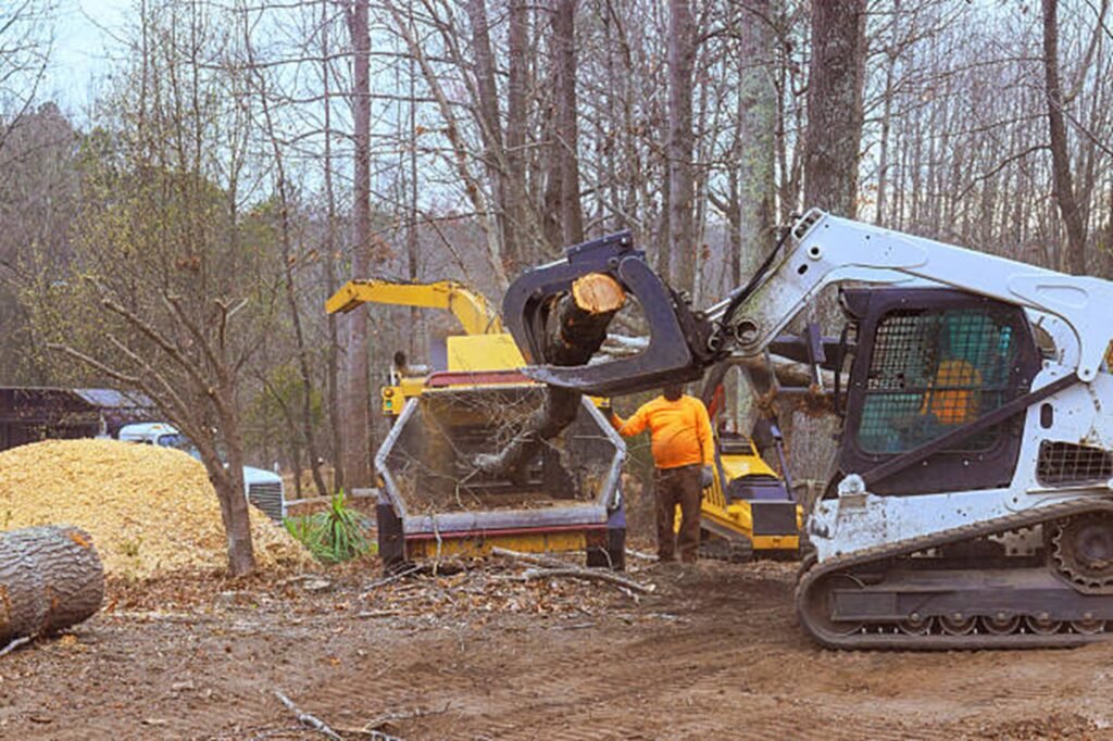 Residential property after professional tree removal with logs processed and the hazardous tree safely removed in Hazelwood, MO.