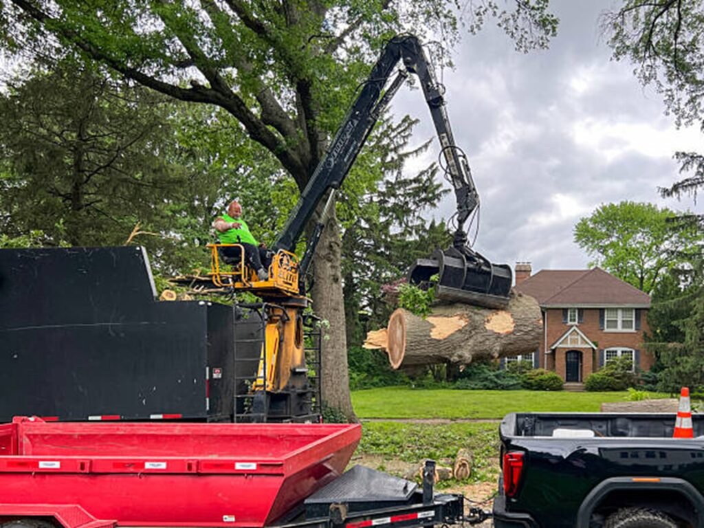 Professional tree removal crew using heavy equipment to safely lift and remove large tree sections during a residential tree removal project in Hazelwood, MO.