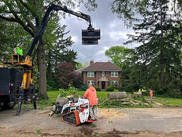Professional tree care crew using heavy equipment to remove trimmed tree sections during a tree trimming and pruning project in Hazelwood, MO.