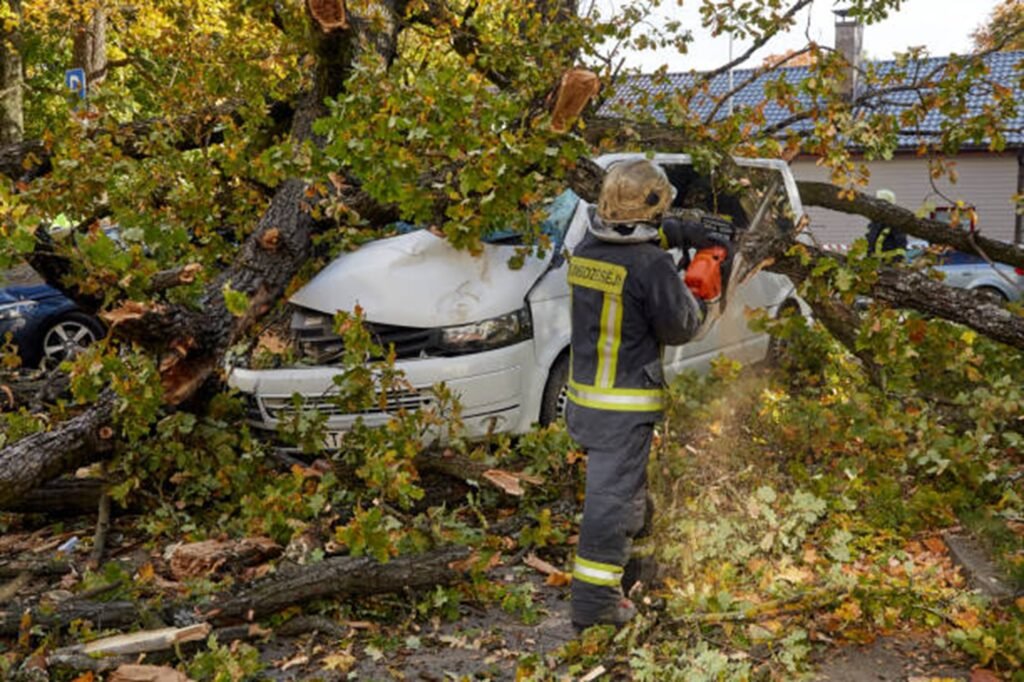 Emergency tree service crew removing a large fallen tree from a damaged vehicle after severe storm damage in Hazelwood, MO.