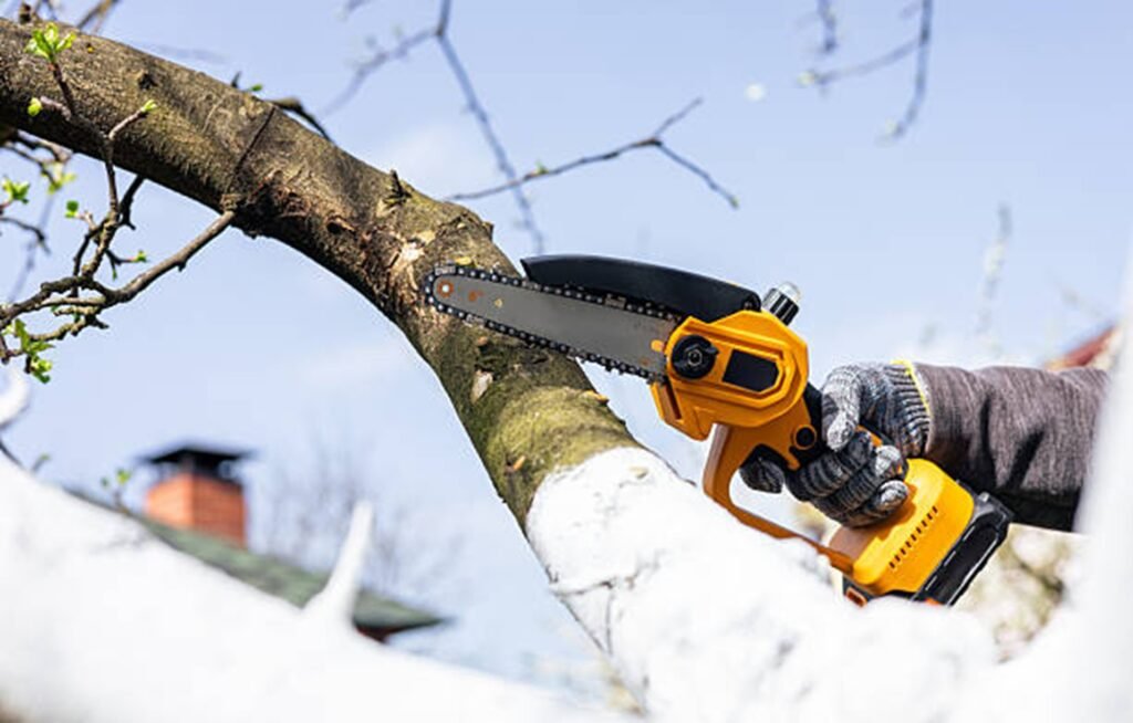 Professional arborist pruning a tree branch with a handheld chainsaw during residential tree trimming service in Hazelwood, MO.