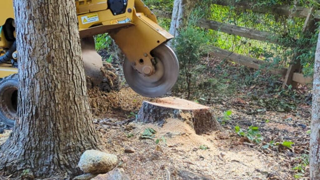 Commercial stump grinder removing a tree stump below ground level during professional stump grinding and removal service in Hazelwood, MO.