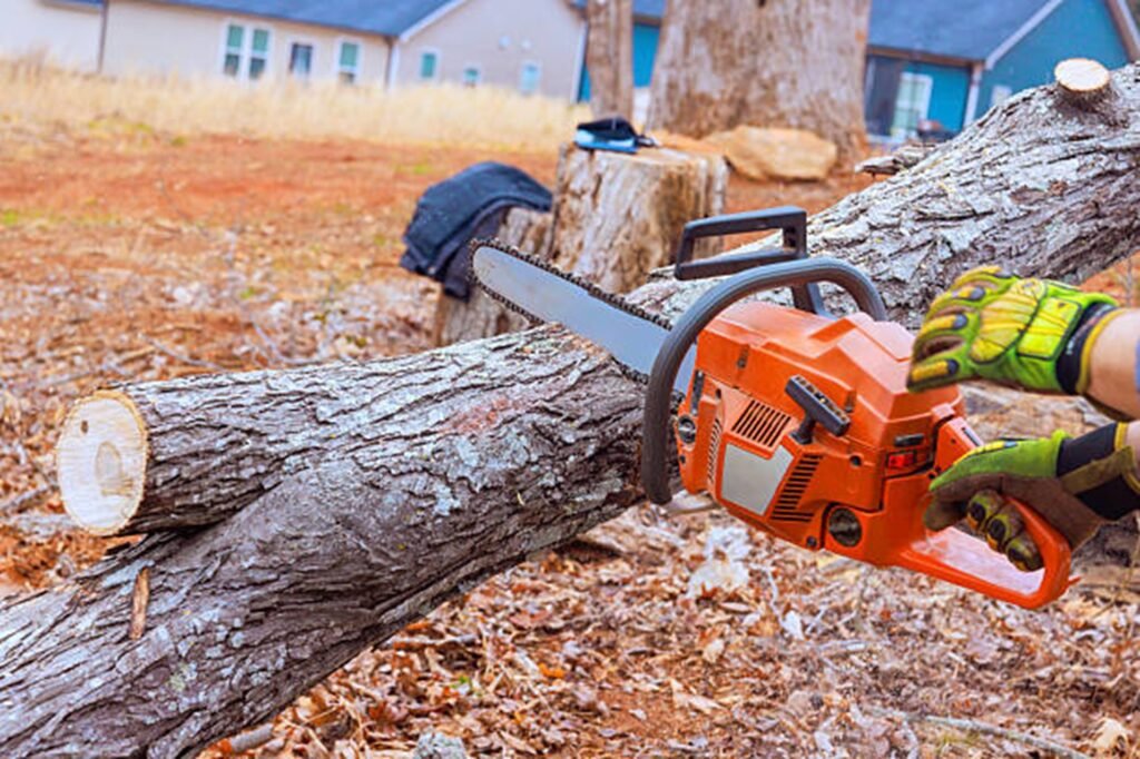 Professional chainsaw cutting through a fallen tree during emergency tree removal service at a residential property in Hazelwood, MO.