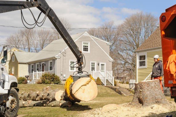 Professional emergency tree service crew cutting and removing a large fallen tree blocking a residential street in Hazelwood, MO.