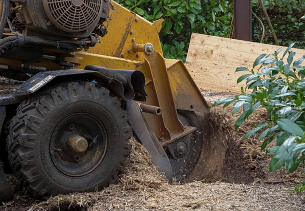 Professional stump grinding machine removing a tree stump from a residential yard during stump grinding and removal service in Hazelwood, MO.