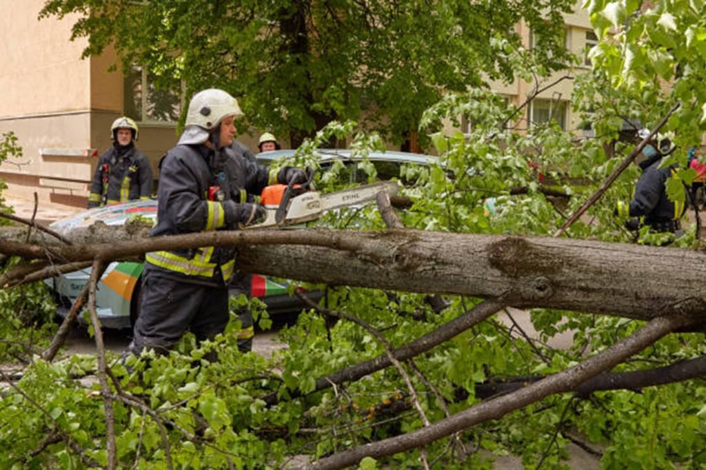 Emergency tree service crew safely cutting and removing a fallen tree blocking a residential street in Hazelwood, MO after severe storm damage.