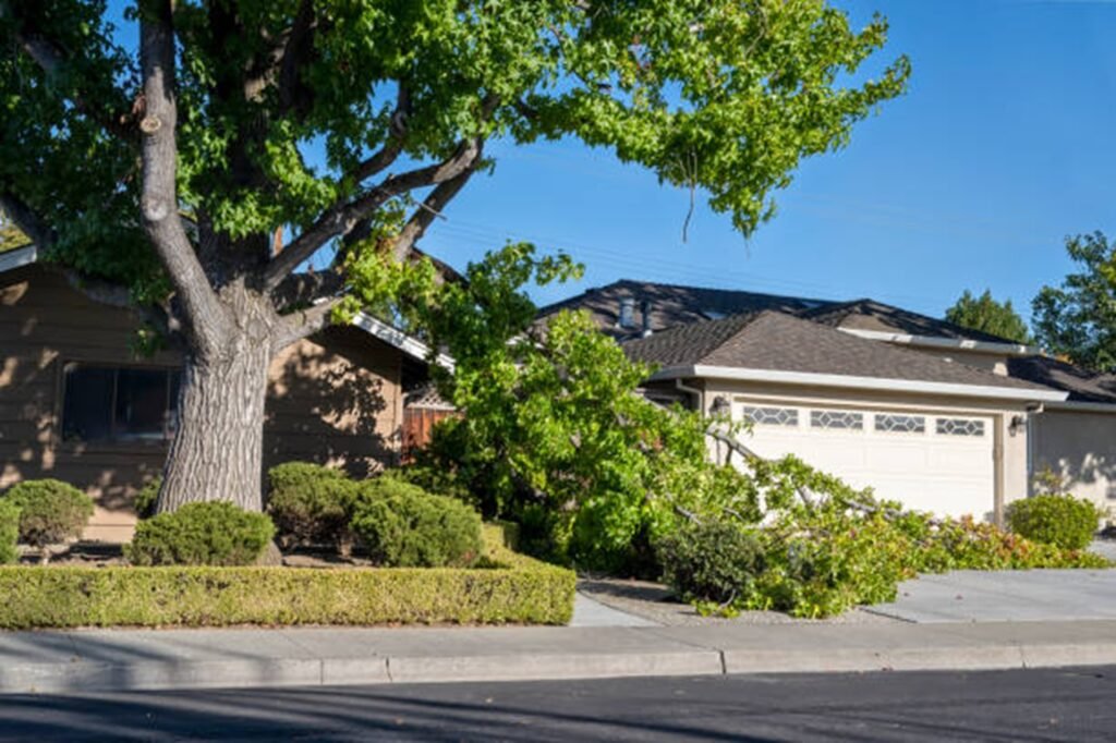 Storm-damaged tree with broken limbs blocking a residential driveway before professional storm damage cleanup in Hazelwood, MO.